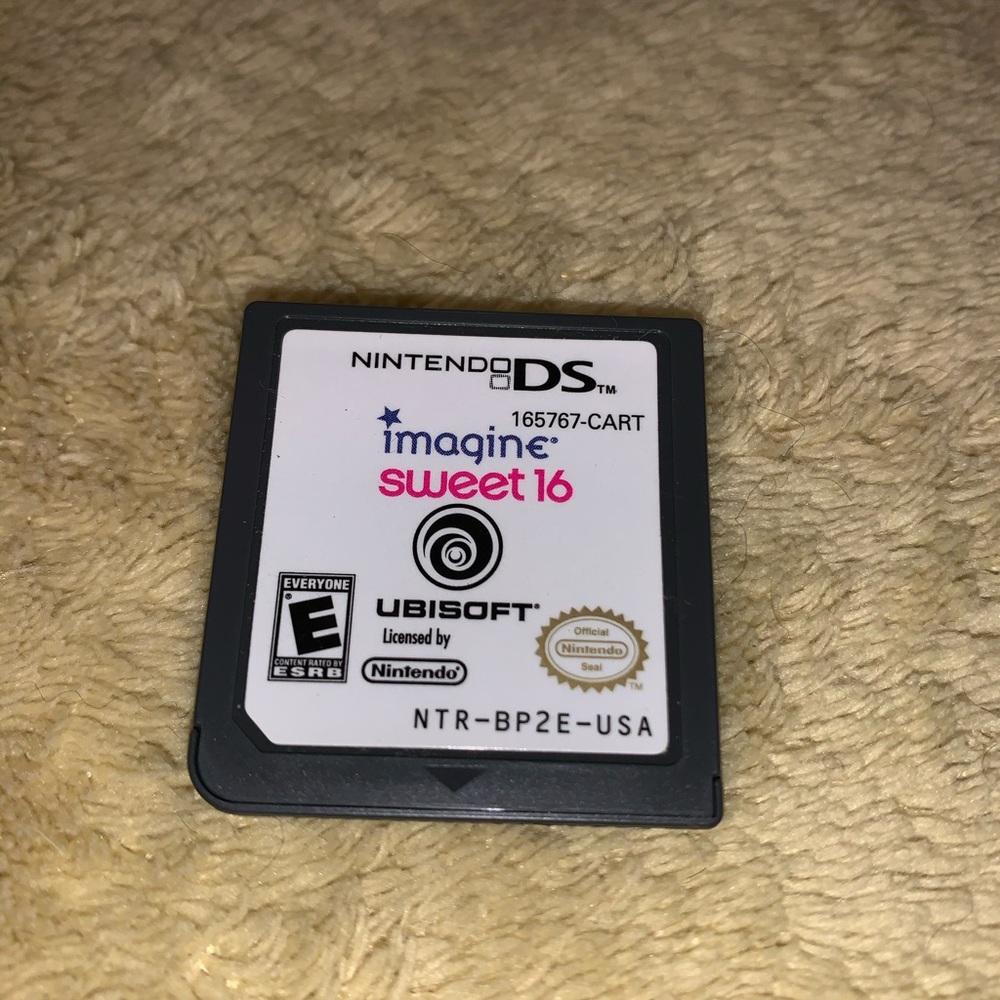 Nintendo DS game